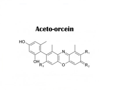 ORCEIN ACETIC 2% VÀ CÁCH ĐIỀU CHẾ