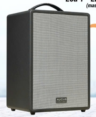 Loa karaoke di động ACNOS AUCUS X300