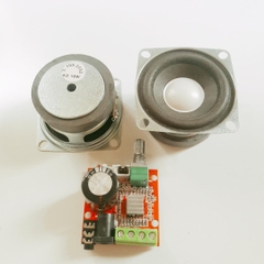 Loa 10W 4R + Module Pam 8610 COMBO Chế Loa Thông Minh