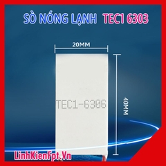 Sò nóng lạnh TES1-6306  40x20MM