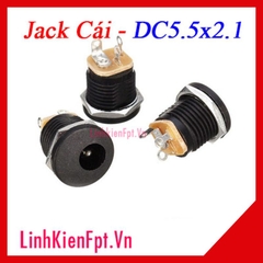 Jack Nguồn DC5.5x2.1mm Có Ốc Vặn- Cái