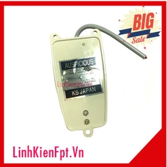 Công Tắc Bàn Đạp Chân 10A-220VAC HRF-FS-2