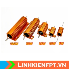Điện Trở nhôm 25W