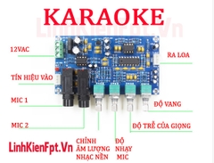Mạch khuếch đại âm thanh Karaoke 2 MIC  XH-M173