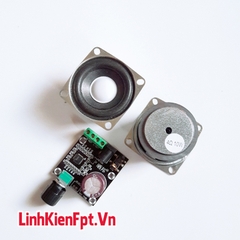 Khuếch Đại Âm Thanh PAM8610 +2 loa 10W Chế Loa Nghe Nhạc