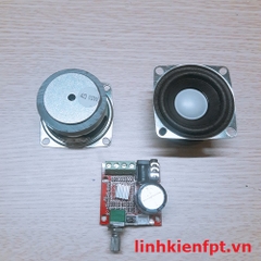 Loa 10W 4R + Module Pam 8610 COMBO Chế Loa Thông Minh