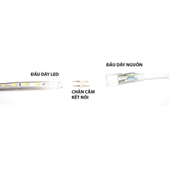 Jack nguồn Led RGB 220V