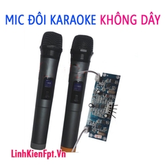 Mic hát karaoke không dây 2 Mic kèm mạch thu