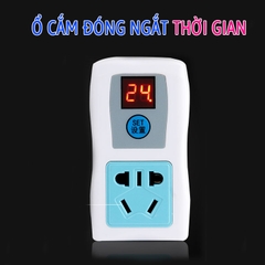 Ổ Cắm Hẹn Giờ