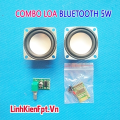 Combo chế loa Bluetooth 5W Pam8403 vs Win 88