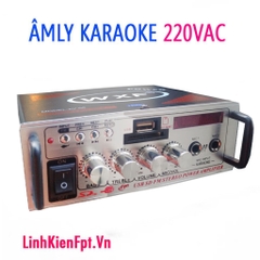 Âm Ly mini karaoke Bluetooth Amly Xe Hơi 2  AV-08BT
