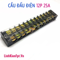 Cầu đấu Điện 12p 25A