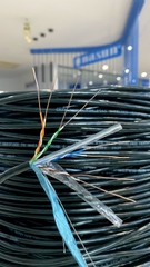 Dây mạng Cat6 Nasun FTP-0666