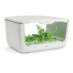 HỘP TRỒNG CÂY HAFELE HOME BOX 539.76.990