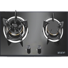 Bếp gas Faster FS 261S