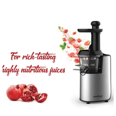 Máy nước ép chậm Hafele GS-133 . 535.43.087