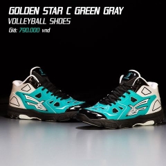 Giày Bóng chuyền Beyono Golden Star C - chính hãng