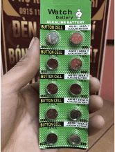 PIN AG13