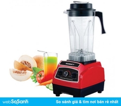 Máy xay sinh tố Sanaky SNK 814ST