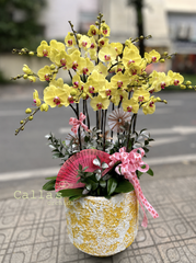 CHẬU LAN HỒ ĐIỆP 15 CÀNH VÀNG MAI
