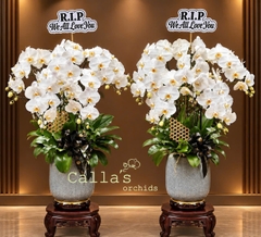 CHẬU LAN VIẾNG 5 CÀNH TRẮNG