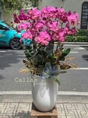 CHẬU LAN 12 CÀNH HỒNG TRƠN