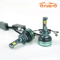 đèn led d2h cho bi hela