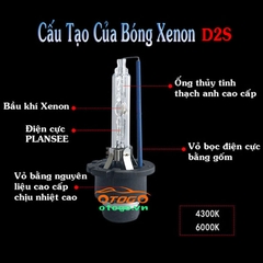 bóng xenon d2s