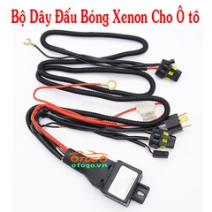 rơ le đèn xenon