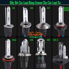xenon H3