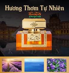 nước hoa ô tô cao cấp