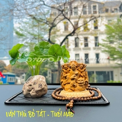 Tuổi Mão - Phật Văn Thù Bồ Tát