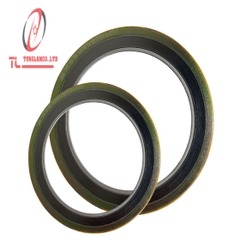 Spiral Wound gasket.