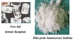 Tầm quan trọng của phân đạm SA đối với cây trồng
