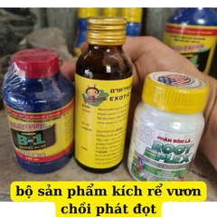 combo bộ ba kích rể vươn chồi phát đọt giúp cây phục hồi khi mới trồng
