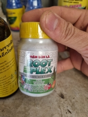 combo bộ ba kích rể vươn chồi phát đọt giúp cây phục hồi khi mới trồng