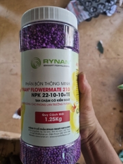 combo 3 hũ phân rynan cho mọi giai đoạn phát triển của cây trọng lượng 1,25 kg