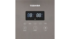 Cây nước nóng lạnh Toshiba RWF-W1830UVBV(T)