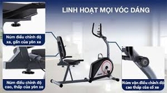 Xe đạp tập chân trong nhà Đại Việt VT101