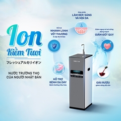 Máy lọc nước ion kiềm tươi từ trường nóng nguội Daikiosan DN269