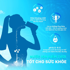 Máy lọc nước ion kiềm Daikiosan DN468