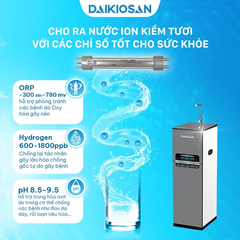 Máy lọc nước Daikiosan DN869