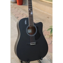 Đàn Guitar Acoustic Rosen G12, Black