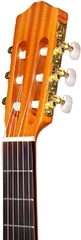 Đàn Guitar Classic Cordoba C1 Full
