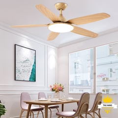 QUẠT ĐÈN TRANG TRÍ  HIỆN ĐẠI 52KJYY-56