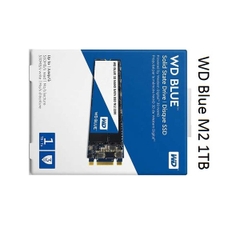 Ổ cứng 1TB SSD M2-SATA Western Digital WD Blue 2280