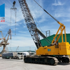 Mẫu sản phẩm 10