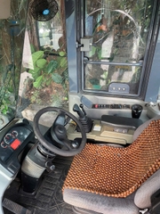 Xe xúc lật cũ kẹp gỗ XCMG LW300KN đời 2019 tay trang thủy lực giá rẻ