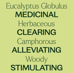 Tinh dầu khuynh diệp Eucalyptus Globulus Plant Therapy