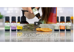 Sét 6 tinh dầu cơ bản Organic Singles Plant Therapy